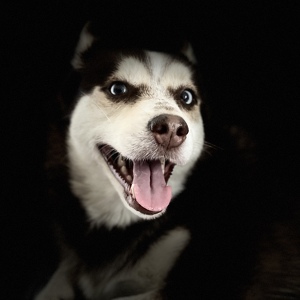 Fundraising Page: Lili Moore